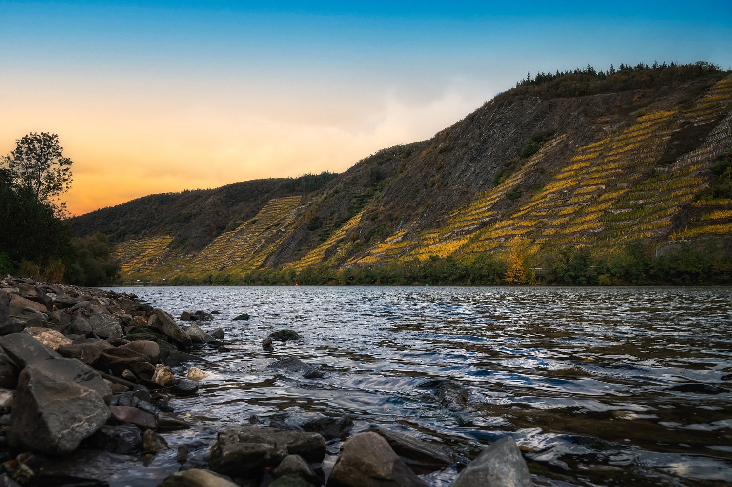 sup-rheinland-pfalz zell