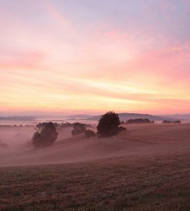 sup-saarland Beitragsbild