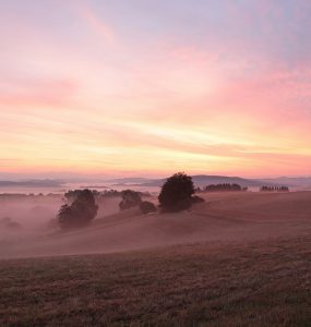 sup-saarland Beitragsbild