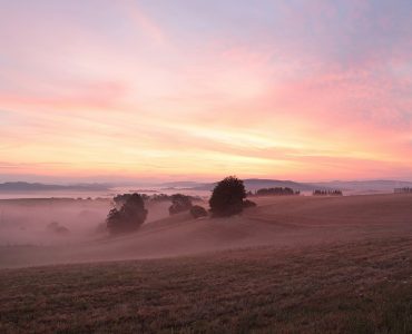 sup-saarland Beitragsbild