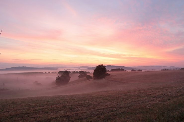 sup-saarland Beitragsbild