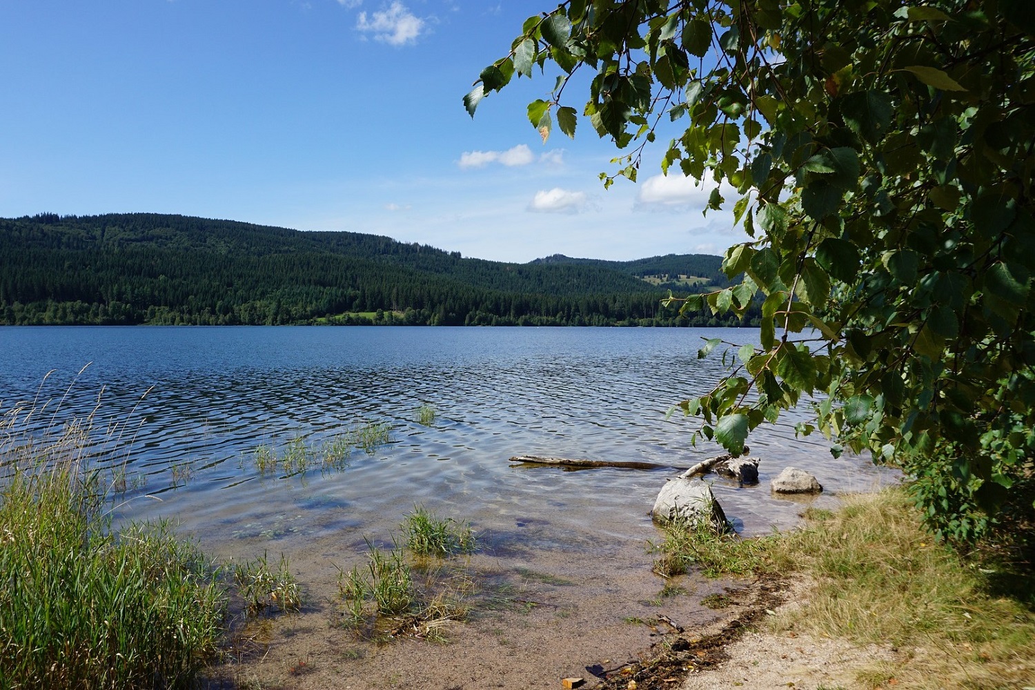sup-schluchsee runde