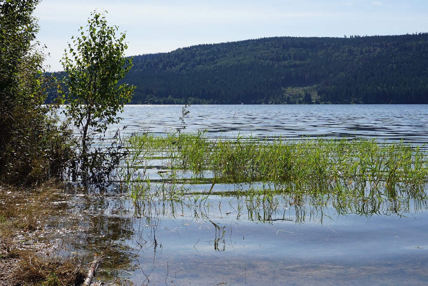 sup-schluchsee strandbad seebrugg
