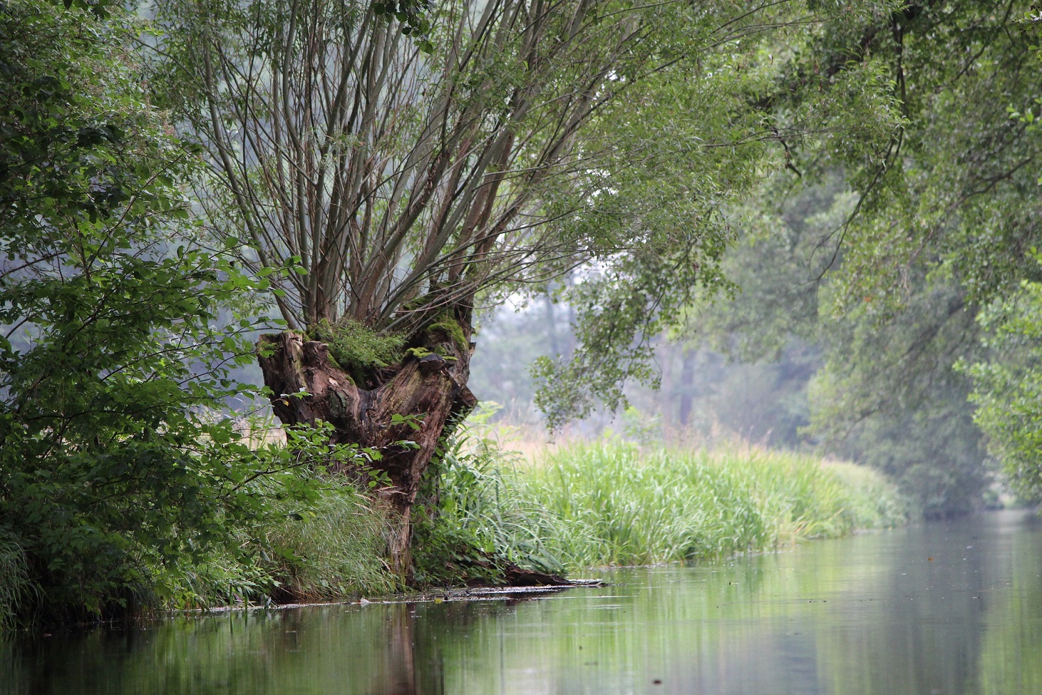 sup-spreewald alt zauche
