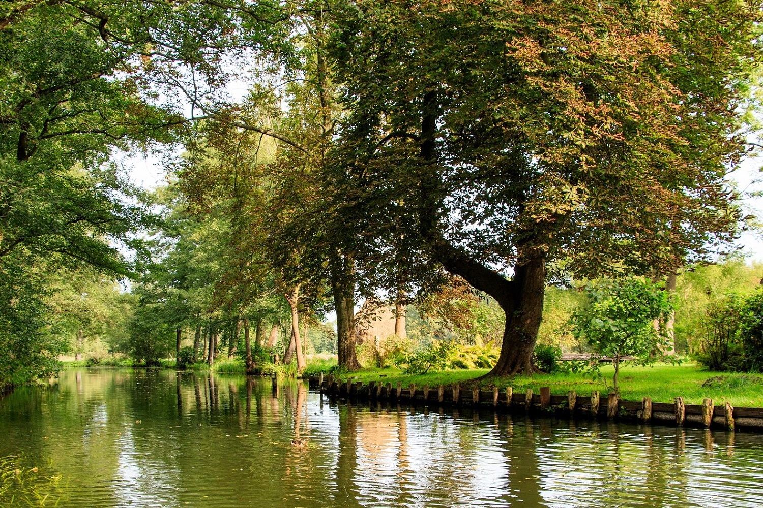 sup-spreewald burg