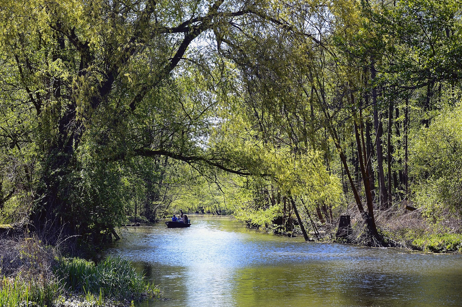 sup-spreewald leibsch
