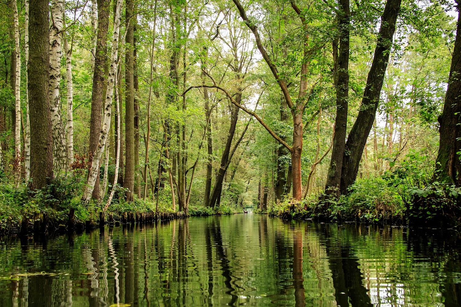 sup-spreewald lübbenau