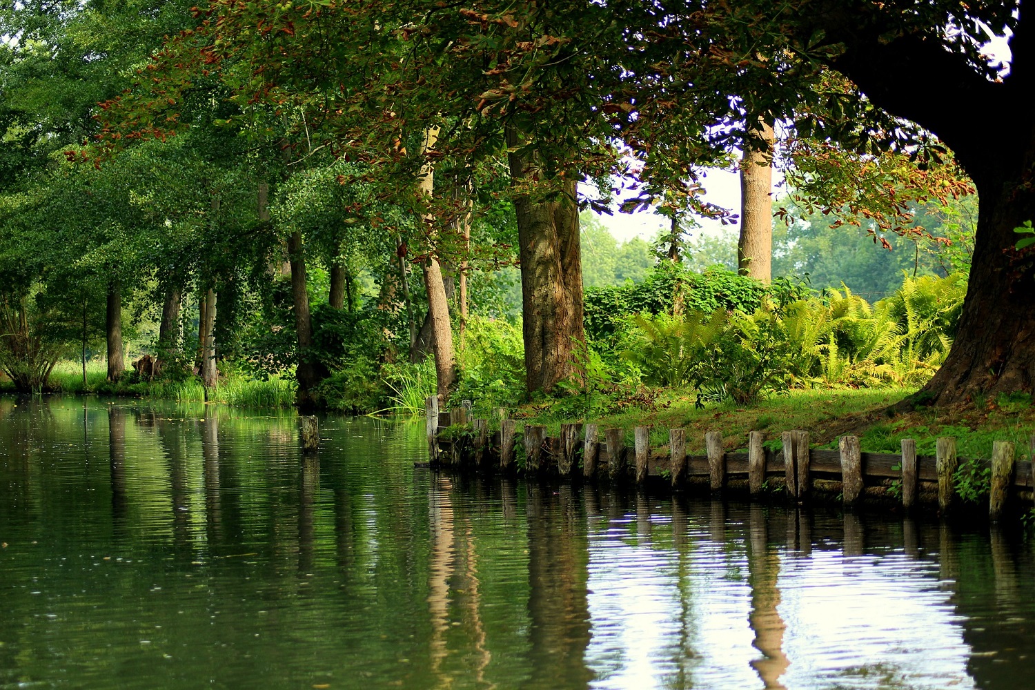 sup-spreewald wotschofka