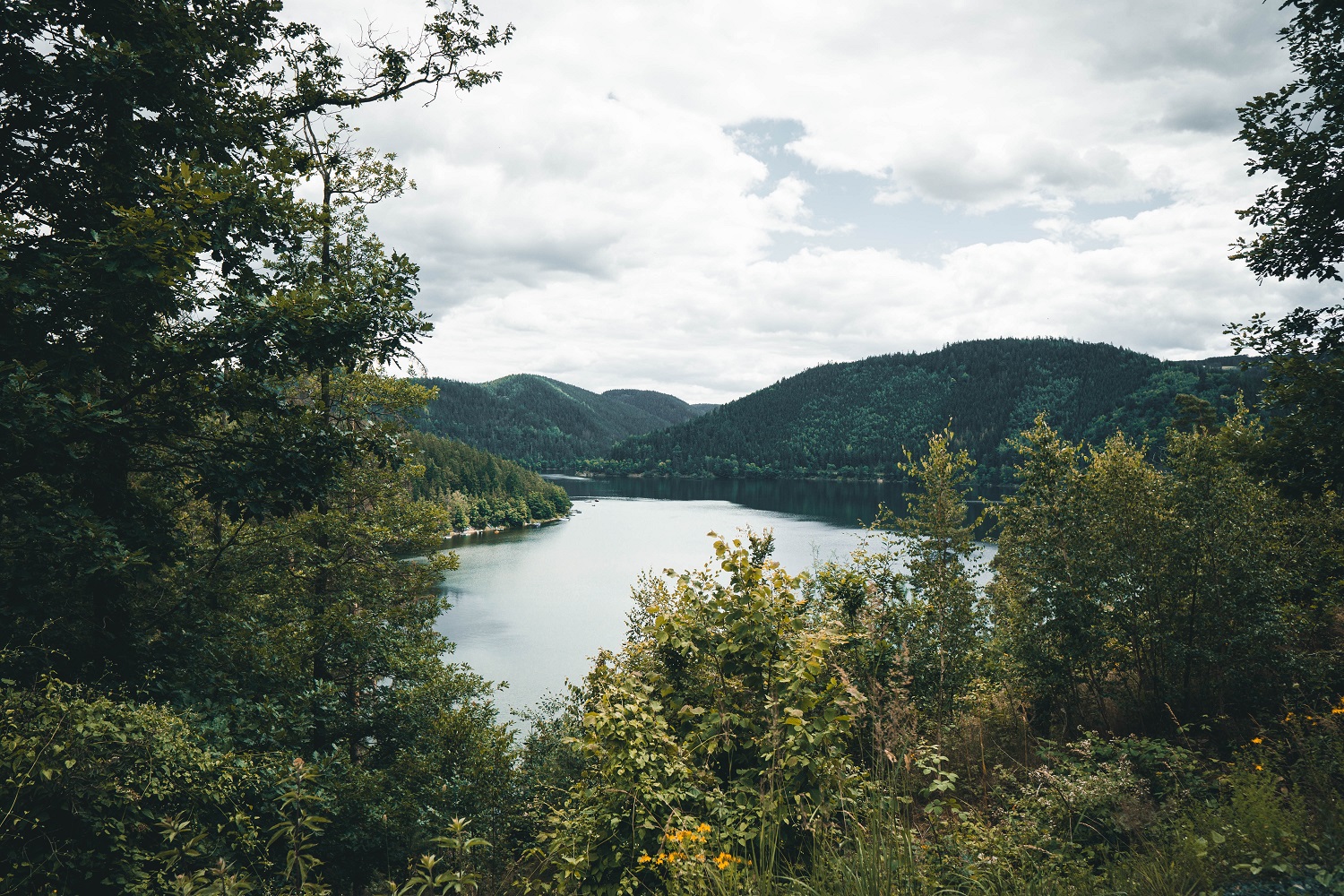 sup-thueringen Hohenwarte Stausee stauseeblick