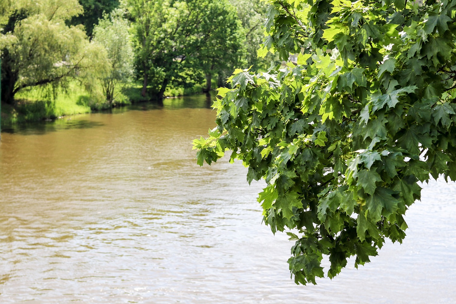 sup-thueringen dorndorf