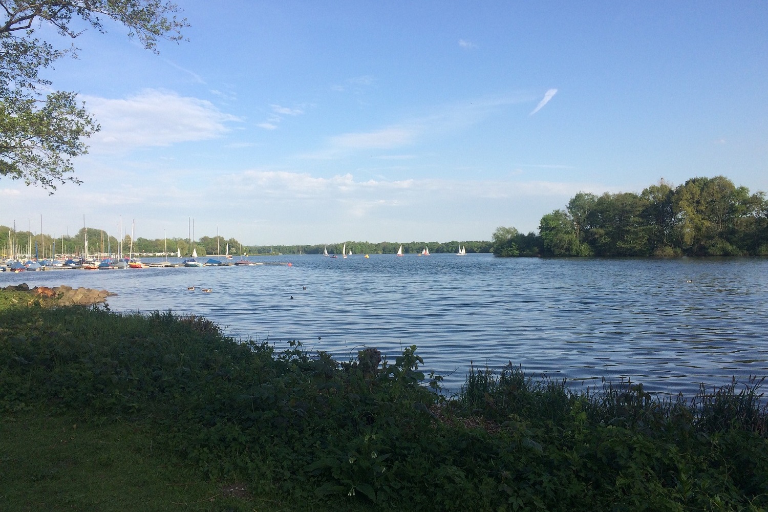sup-unterbacher-see kite