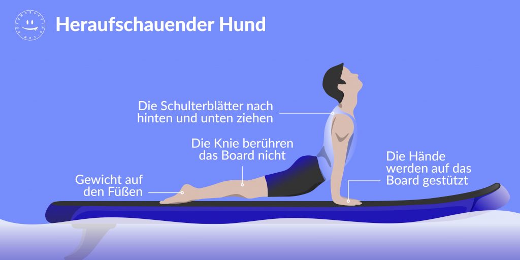 sup_yoga_heraufschauender_hund